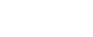 SKY-300x121-1.webp